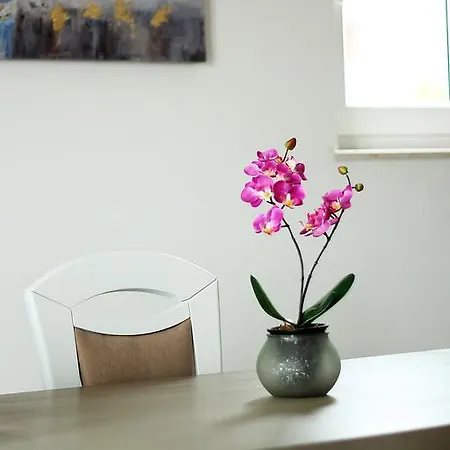 Silvija Apartamento *