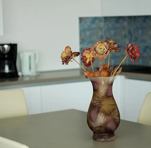 Apartament Silvija Primošten