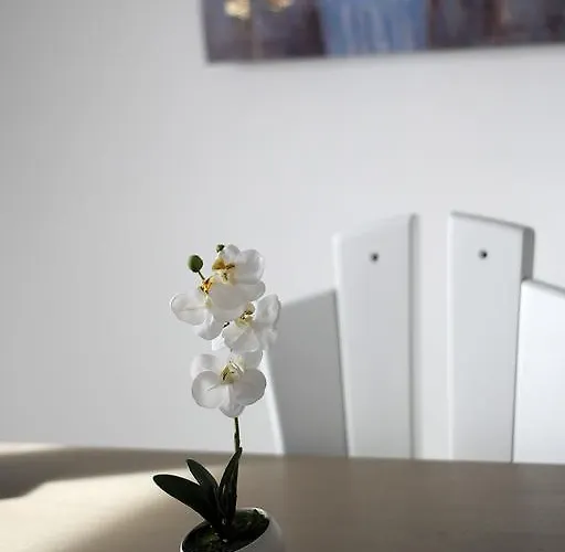 Silvija * Primošten